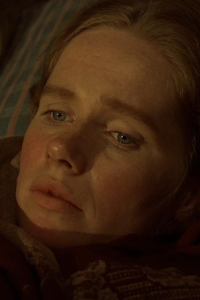 New Land, The [Liv Ullmann]